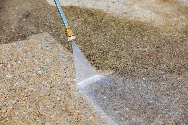 Animal Enclosure Cleaning in Hampton Manor, NY